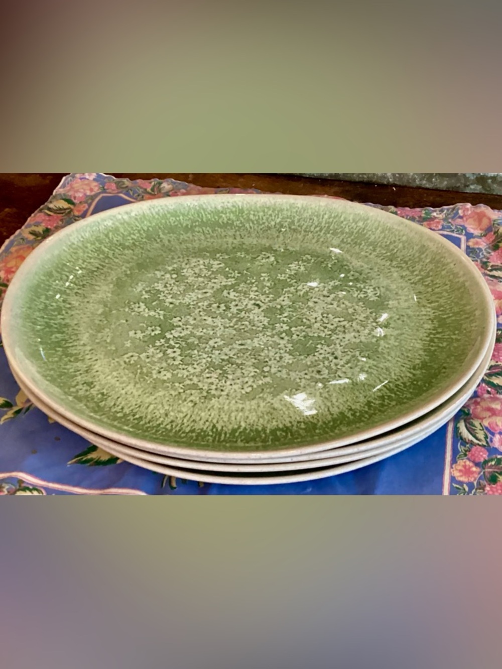 Anthropologie Dakota Melamine Dinner Plates, Set of 4 NEW SAGE GREEN